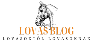 Lovas Blog